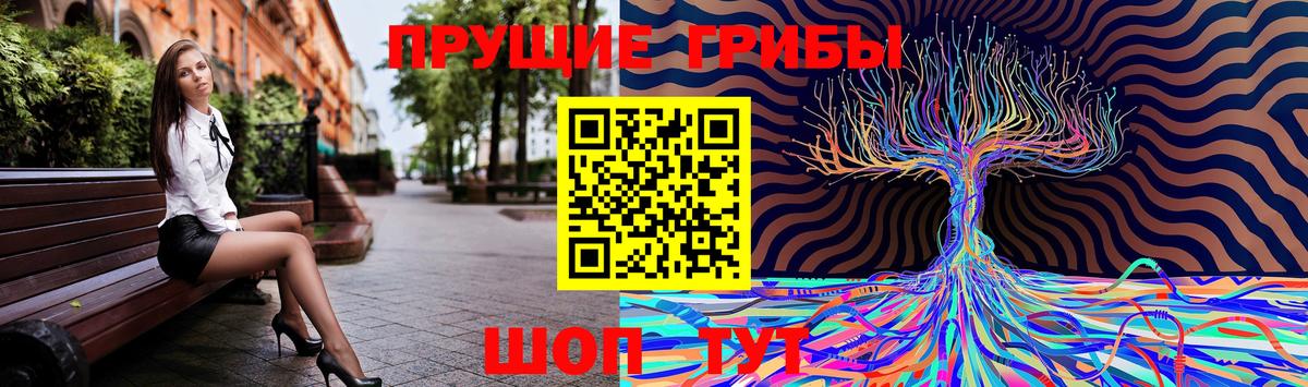 где купить наркоту  Псилоцибиновые грибы мицелий  Вход с VPN  Ангарск 