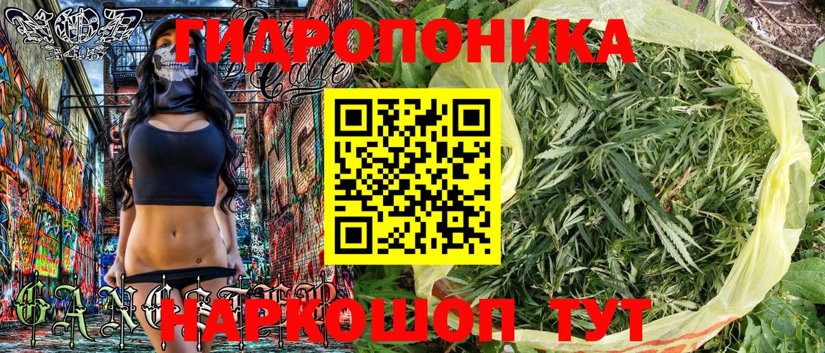 Шишки марихуана марихуана  Шишки марихуана тримм  Ангарск  Каннабис план  Вход с VPN 